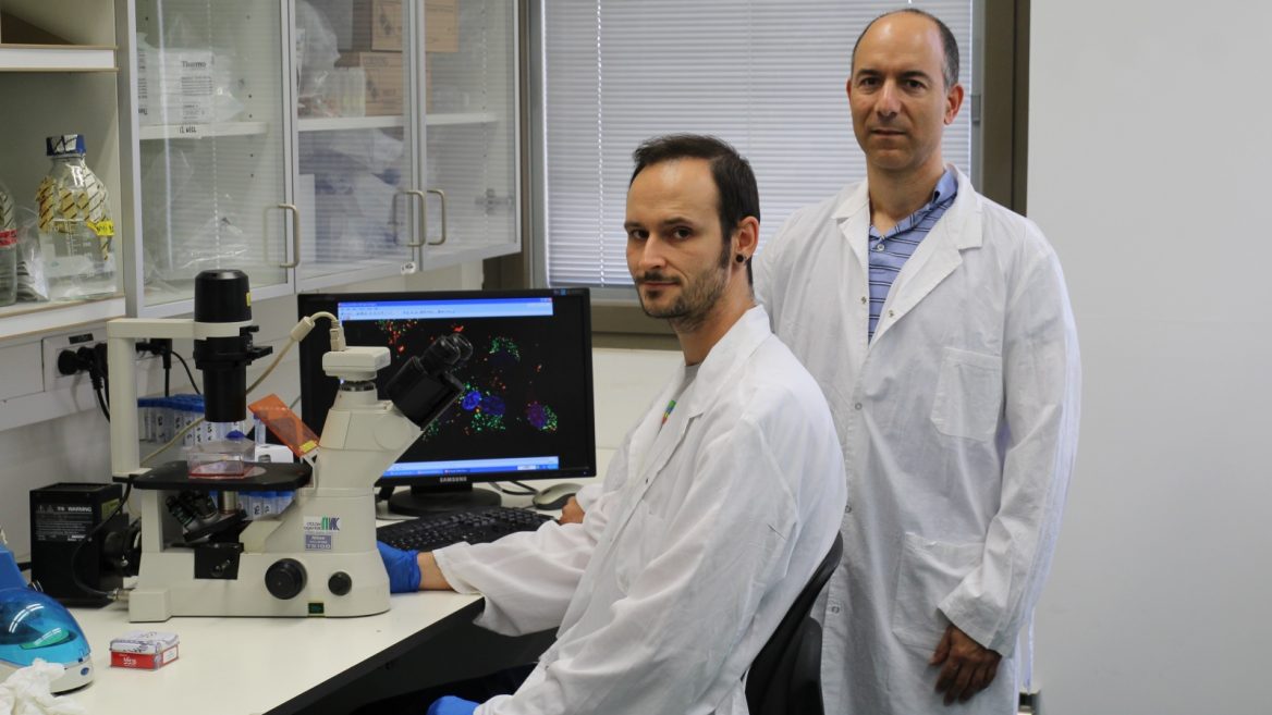 Hebrew University PhD student Maxim Mogilevsky and Prof. Rotem Karni in the Institute for Medical Research-Israel Canada lab. Photo by Polina Denichenko courtesy of Hebrew University