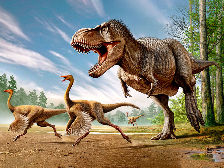 Tyrannosaurus-Rex-Struthiomimus-dinosaurs