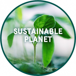 sustainable planet