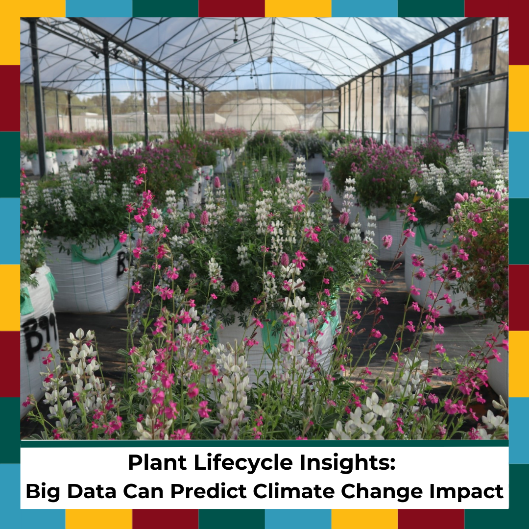Plant Lifecycle Insights Big Data Can Predict Climate Change Impact
