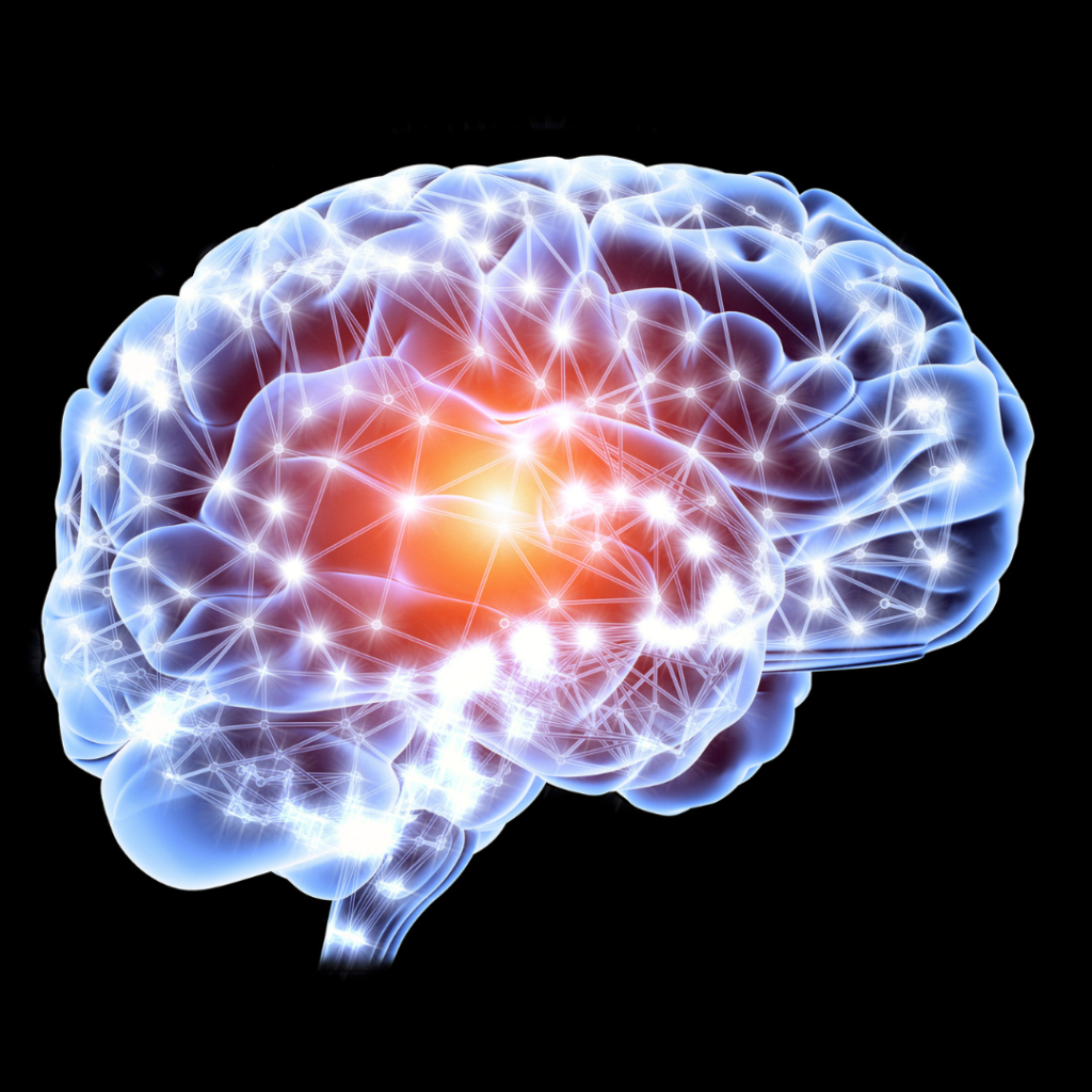 Fight Against Neurodegenerative Diseases