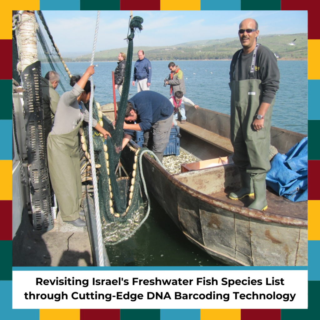05.01-POST-Israels-freshwater-fish