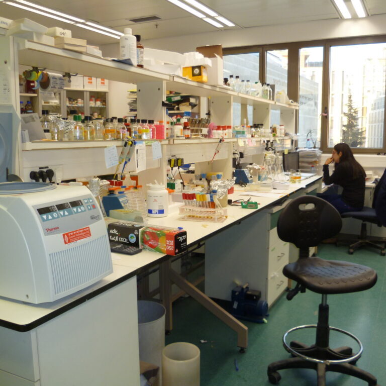 Botnar Labs