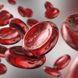 red blood cells. beautiful scientific background.